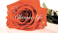 Video-Rose
