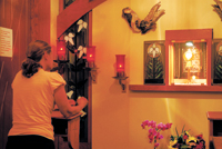 10-Adoration-1
