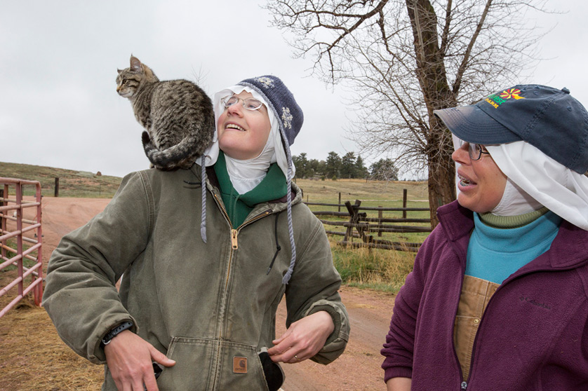 Sr. Maria Gertrude and Sr. Maria Walburga Schortemeyer, ranch manager, play with Shakespeare, on eof the five abbey cats, in late March at the Abbey of St. Walburga in Virginia Dale, Colo. Jim West | CNS photo