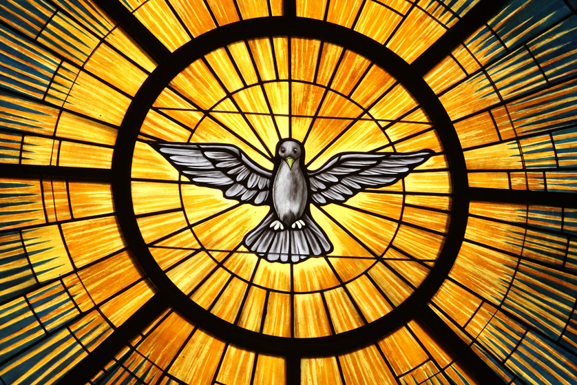 The Holy Spirit, traditionally depicted as a dove, is pictured in a stained-glass window at St. John Vianney Church in Lithia Springs, Ga. In Matthew 12, Jesus says blasphemy against the Son of Man is able to be forgiven, but blasphemy against the Holy Spirit cannot. Michael Alexander | CNS photo